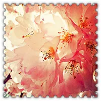 各种好看的小清新头像图片第1张