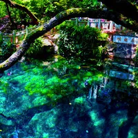 云南qq头像风景图片大全第1张