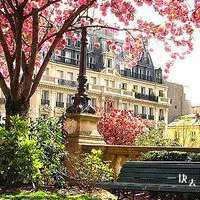 关于樱花的头像唯美风景意境图片第1张