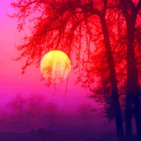 秋的世界到来了qq唯美意境风景头像第1张