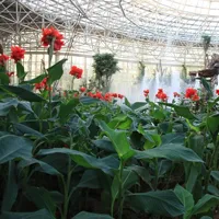 得利斯生态园一日游所拍美景头像图片第1张