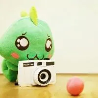 可爱的毛绒公仔个性头像图片第1张