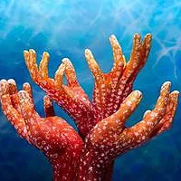 各种可爱创意手指艺术个性头像图片第1张