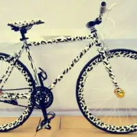 单车头像图片第1张