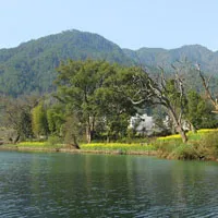 春天风景头像图片第1张