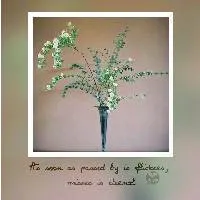 带边框的花朵个性头像图片第1张