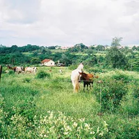 唯美风景qq头像图片第1张