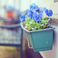 qq唯美花朵头像第1张