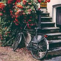 仙境一般唯美风景头像小清新第1张