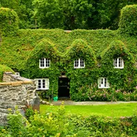 春秋对比风景头像图片第1张