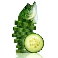 蔬果做的小动物可爱头像图片第1张