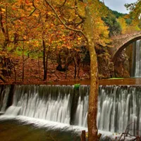 qq头像风景唯美好看的第1张