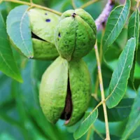 经典头像图片第1张