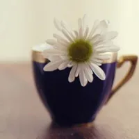 唯美插花头像第1张