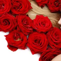 qq玫瑰花头像第1张