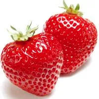 草莓的头像第1张