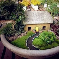 各种好看多肉个性头像第1张