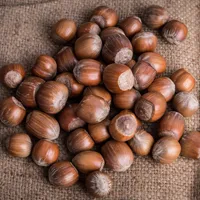 坚果榛子头像美食图片第1张