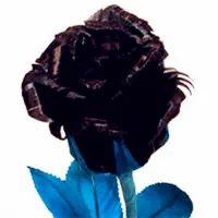 个性黑玫瑰头像第1张