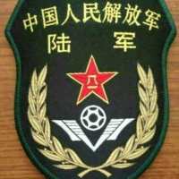 中国海军臂章头像第1张