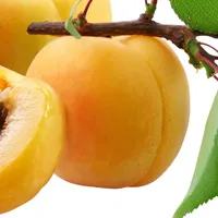 新鲜味美的桃子唯美QQ头像图片第1张