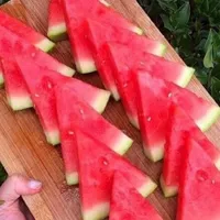 西瓜头像图片第1张