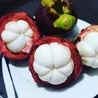 高贵的山竹唯美个性头像图片第1张