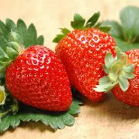 高清水果头像图片大全第1张