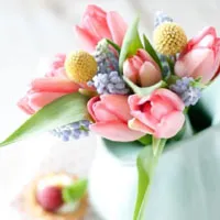 花卉室内唯美的花朵头像图片第1张