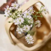 漂亮的花卉头像第1张