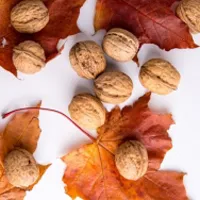 枫叶上的核桃唯美图片头像第1张