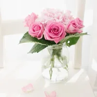 花卉图片淡雅的花朵头像第1张