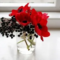 花形奇特多姿鲜艳花朵头像第1张