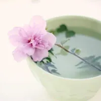 花卉唯美的花朵头像图片第1张