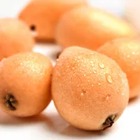 水果枇杷图片头像第1张