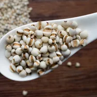 qq个性头像第1张