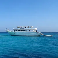 水上娱乐的游艇QQ头像图片第1张