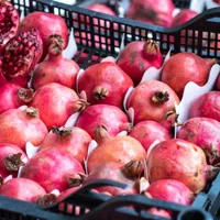 石榴头像图片第1张