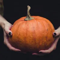 南瓜微信头像的图片第1张