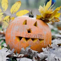 邪恶南瓜头像第1张