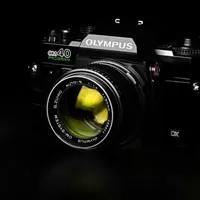 相机图片唯美头像第1张