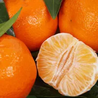 好看橘子图片头像第1张