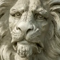 威武的狮子头像第1张