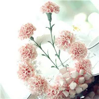 适合母亲的微信头像第1张