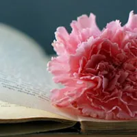 2018微信风景头像小清新第1张