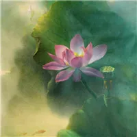 清新唯美荷花头像第1张