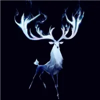 适合做头像的鹿图片第1张