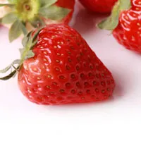 爱吃草莓的亲做头像吧第1张