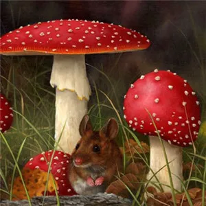 蘑菇图片唯美头像第1张