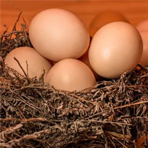 微信头像鸡蛋第1张